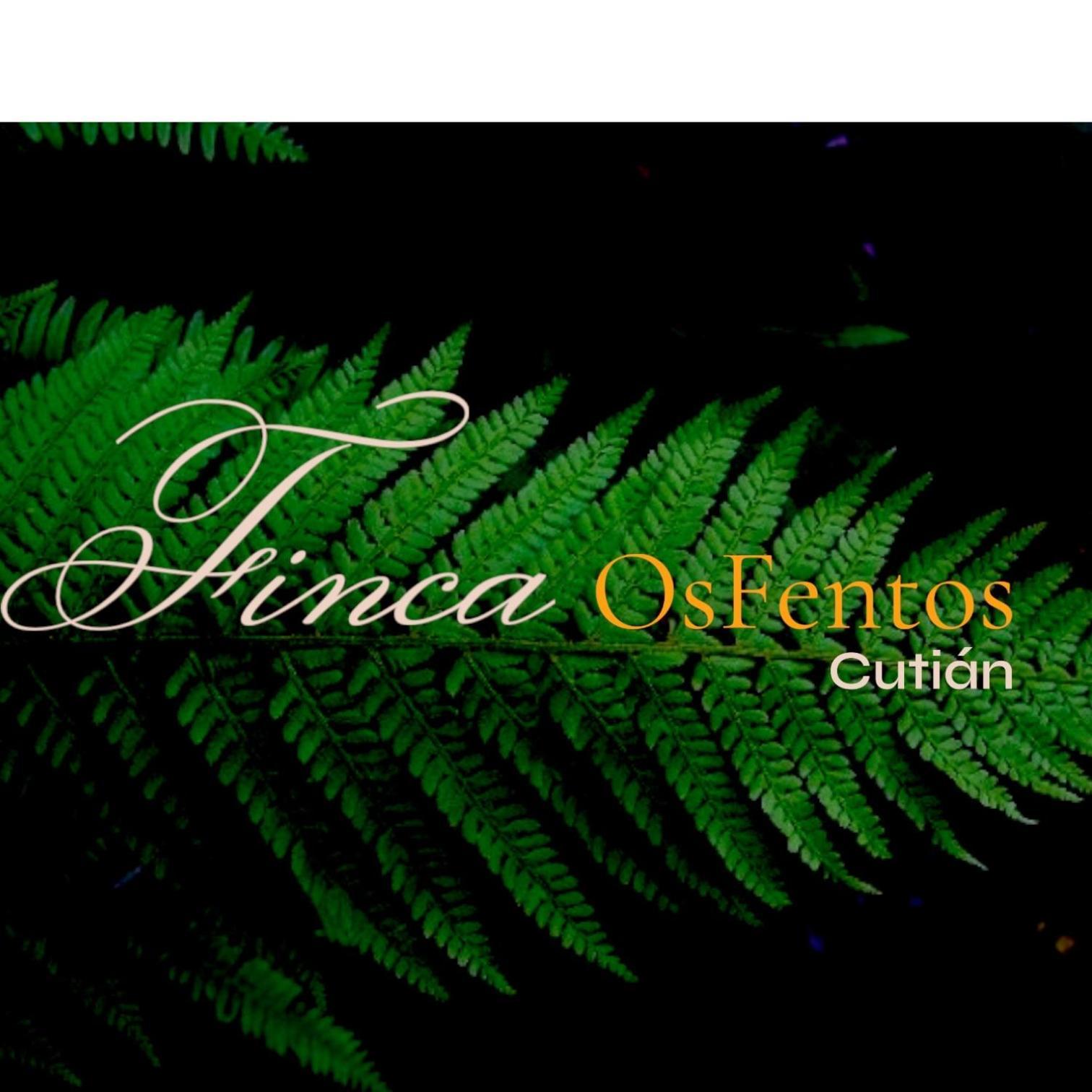 Os Fentos Bed & Breakfast Pontevedra Exterior foto